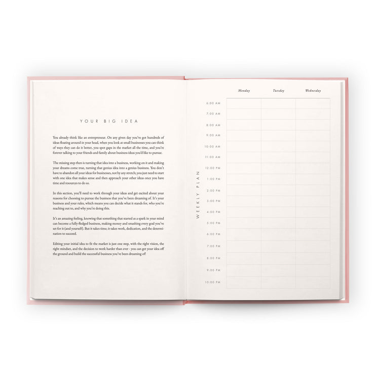 Business as Usual - Pink - CGDLONDON